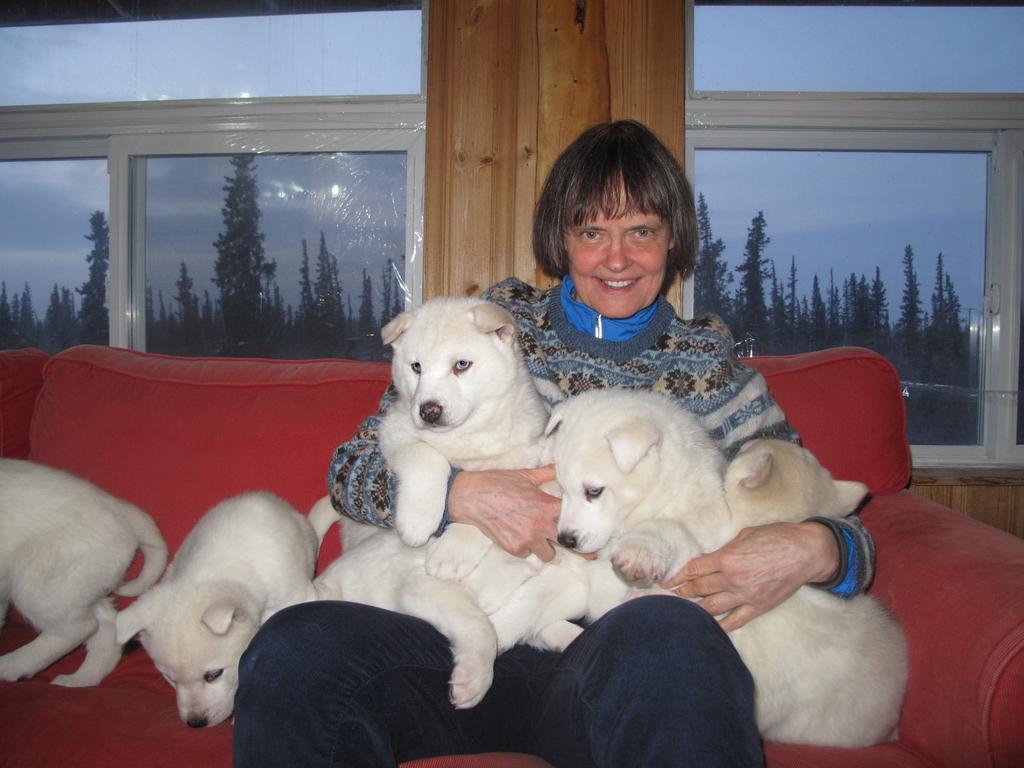Arctic Chalet Resort Inuvik Exteriér fotografie