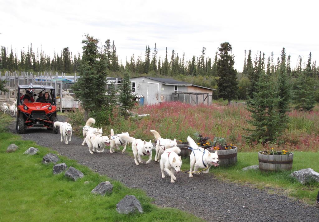 Arctic Chalet Resort Inuvik Exteriér fotografie